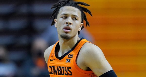 指导或许可 指导或许可